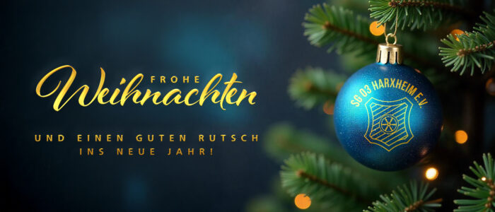 Slider-Weihnachten2024-sg03-700x300